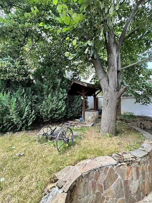 ソフィア Lea House With Swimming Pool In Vitosha Mountainヴィラ 別荘